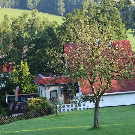 Dani Bad Gottleuba-Berggiesshuebel